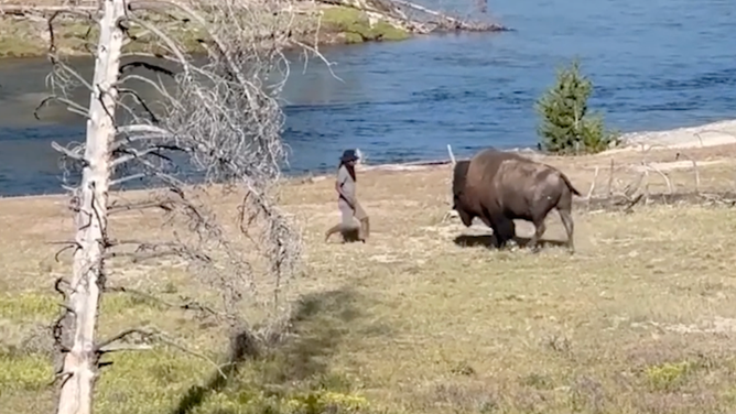 The bull approaches the man.